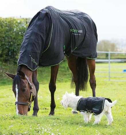 Horseware Sportzvibe